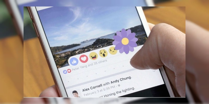 Regresa la “florecita morada" a Facebook; ¿Pero para qué funciona? 