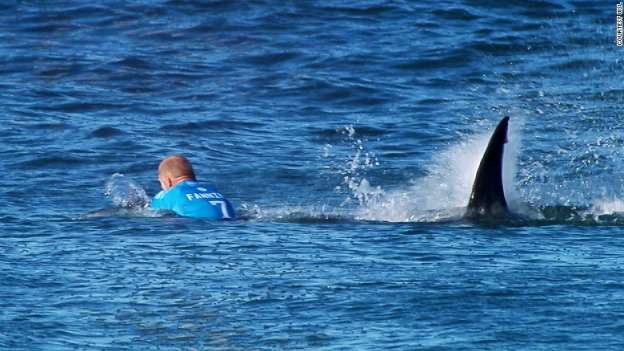 #VIDEO Tiburón ataca a surfista profesional en pleno evento, en Sudáfrica  - Foto 0 