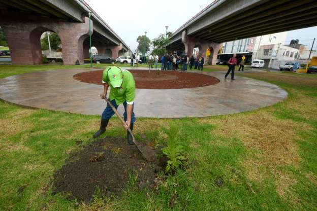 Realizan jornada de reforestación en el libramiento norte de Morelia - Foto 0 