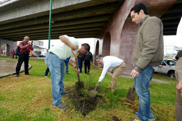 Realizan jornada de reforestación en el libramiento norte de Morelia - Foto 1 