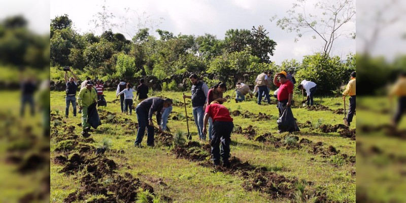Morelia prevé una campaña de reforestación más fuerte en este año 