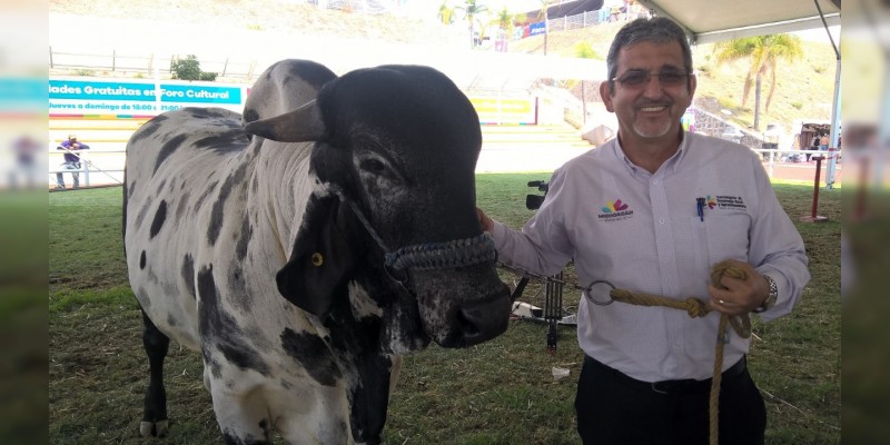 Rompe récord compra-venta de ganado en Expo Fiesta Michoacán 2017 