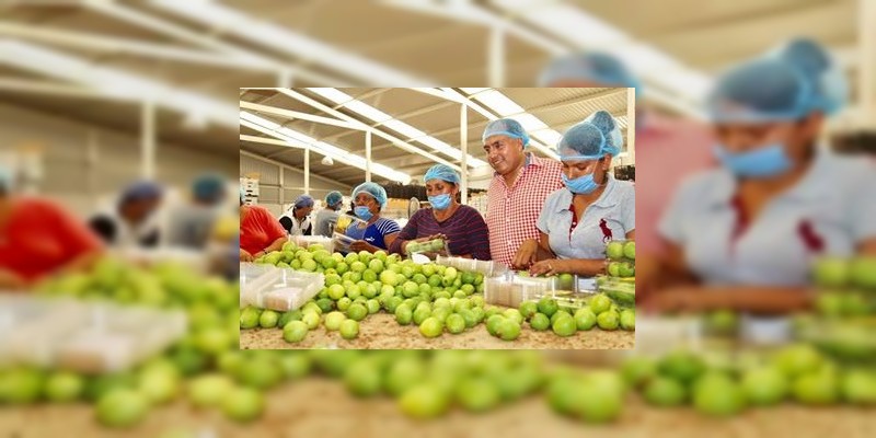 Generación de empleo rompe con el paternalismo: SEDESOL 