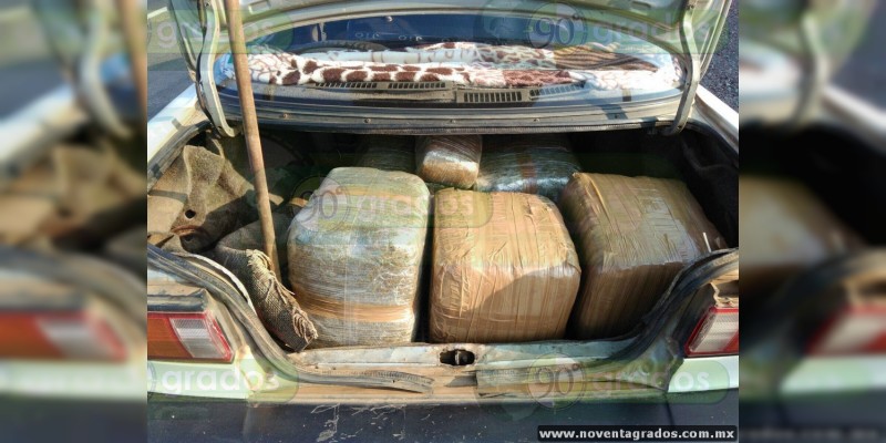 Detienen a dos en posesión de 50 kilos de marihuana en Cuitzeo, Michoacán - Foto 0 
