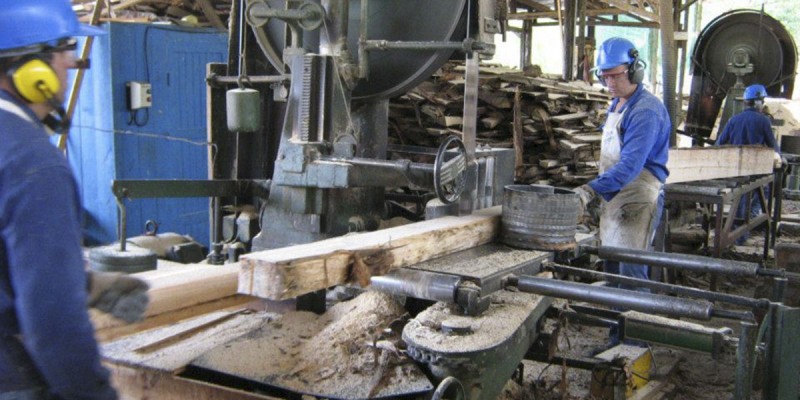 Abierta convocatoria para posgrado en Tecnología de la Madera en la UMSNH 