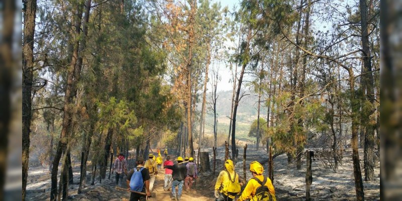 Michoacán, segundo estado más eficaz en combate de incendios forestales 