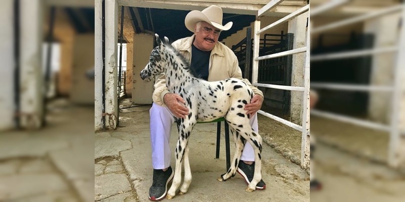 Vicente Fernández lucra con caballos genéticamente modificados  