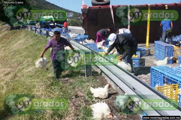 Fotogalería: Decenas de pollos muertos tras volcadura de tráiler en Cuitzeo, Michoacán - Foto 0 