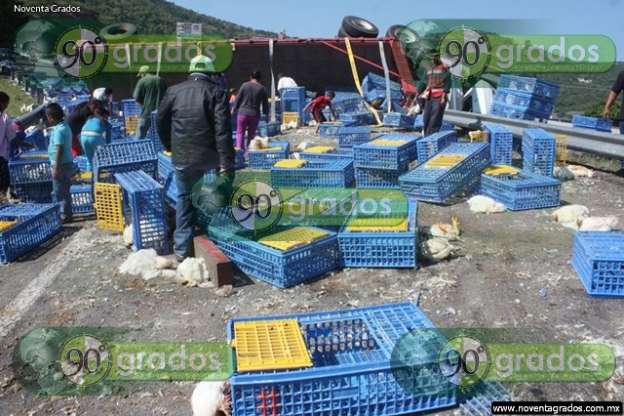 Fotogalería: Decenas de pollos muertos tras volcadura de tráiler en Cuitzeo, Michoacán - Foto 1 