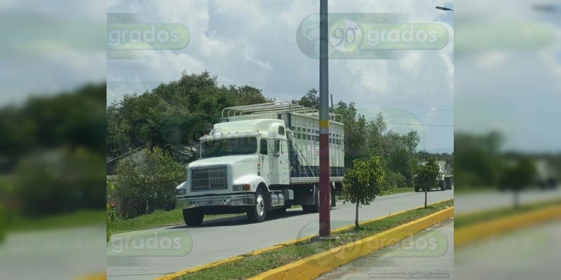 Susto y daños materiales al quedarse sin frenos un camión en la Toluca-Zitácuaro  - Foto 0 