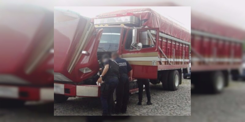Recuperan Sedena y SSP camión robado cargado con aguacate 