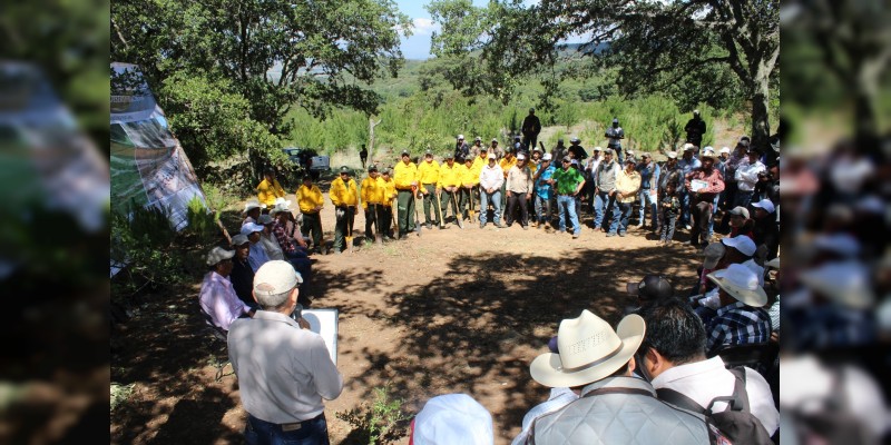 Restaura CONAFOR 50 hectáreas de suelo en Michoacán 