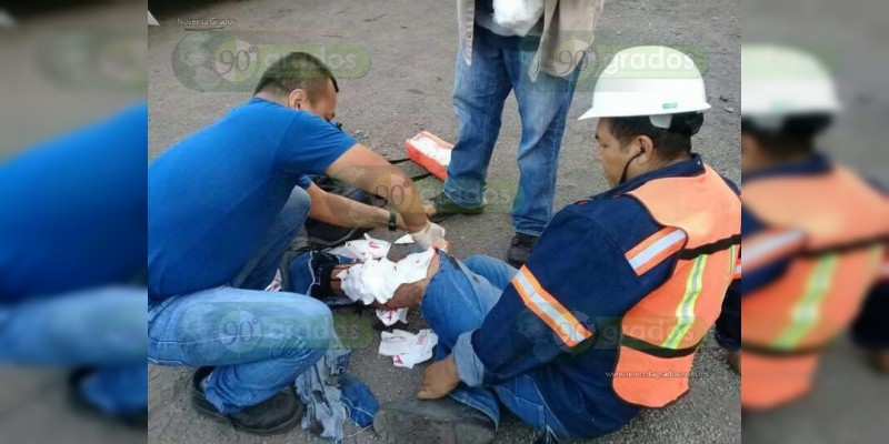 Cocodrilo ataca a obrero de Acelor Mittal en Lázaro Cárdenas - Foto 0 