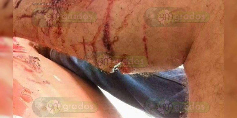 Cocodrilo ataca a obrero de Acelor Mittal en Lázaro Cárdenas - Foto 1 