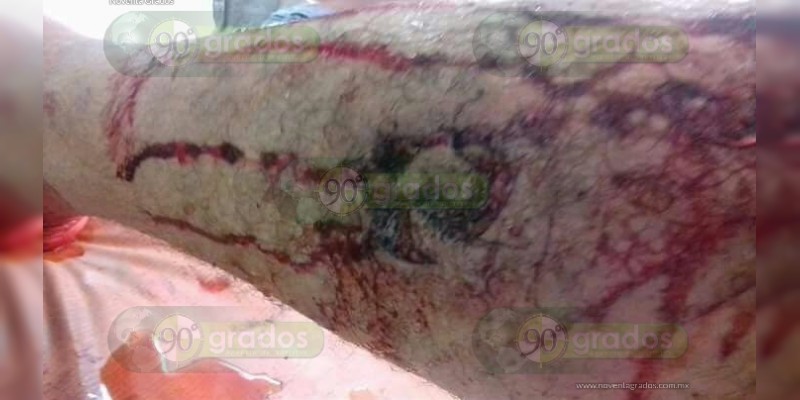 Cocodrilo ataca a obrero de Acelor Mittal en Lázaro Cárdenas - Foto 3 