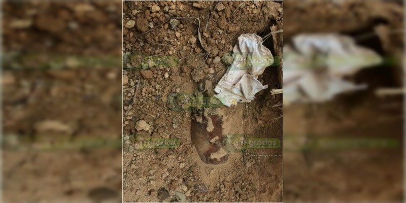 Hallan fosa clandestina en Uruapan, hay un cadáver  - Foto 1 