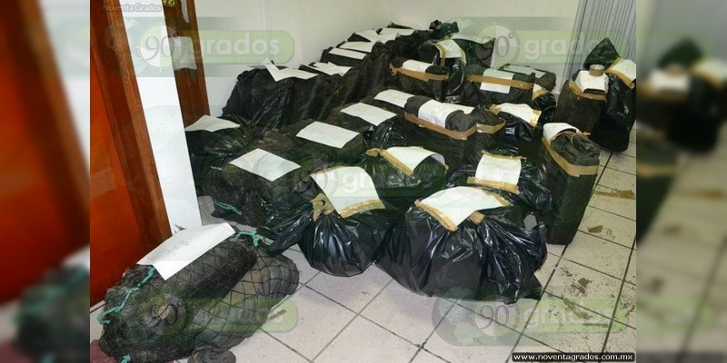CDMX: Aseguran casi 5 mil kilos de cocaína en AICM y agencia de paquetería 