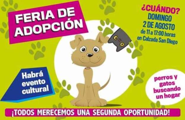 Este domingo se realizará Feria de Adopción de Mascotas en Morelia 