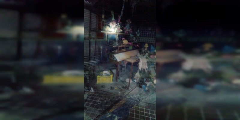 Zinapécuaro: Se incendia puesto en un mercado - Foto 2 