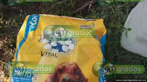 Aseguran narcolaboratorio y decomisan casi 100 kilogramos de “cristal” en Parácuaro, Michoacán - Foto 11 