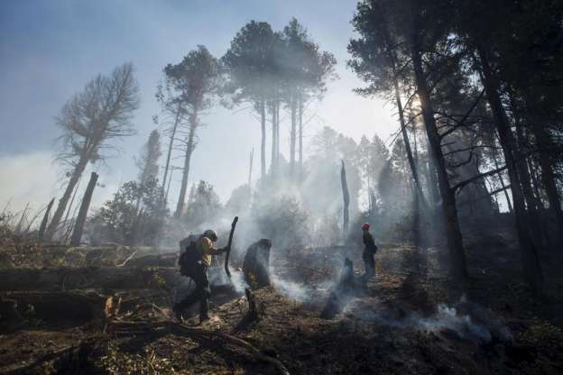 Declara California estado de emergencia por incendios forestales - Foto 2 