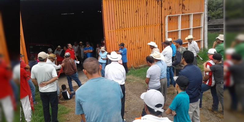 Logran campesinos arienses entrega de fertilizante en Ario de Rosales 