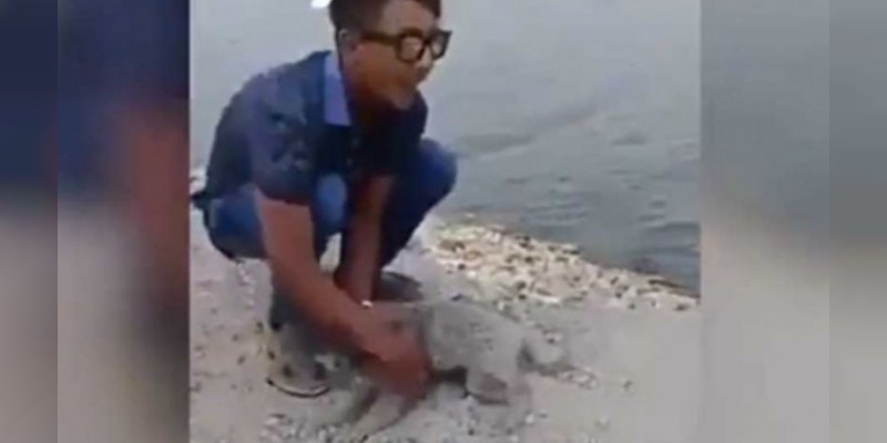 Niño lanza a un perrito indefenso al río, testigos después lo sujetan y lo avientan a él 