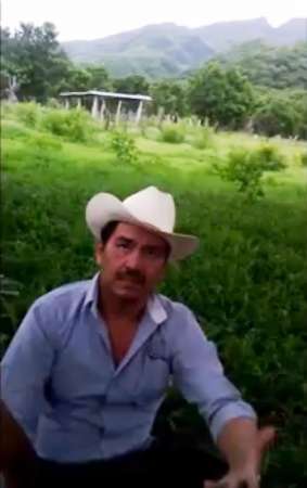 (Vídeo) Alcalde electo de San Miguel Totolapan, Guerrero, habría sido apoyado por la delincuencia organizada - Foto 1 