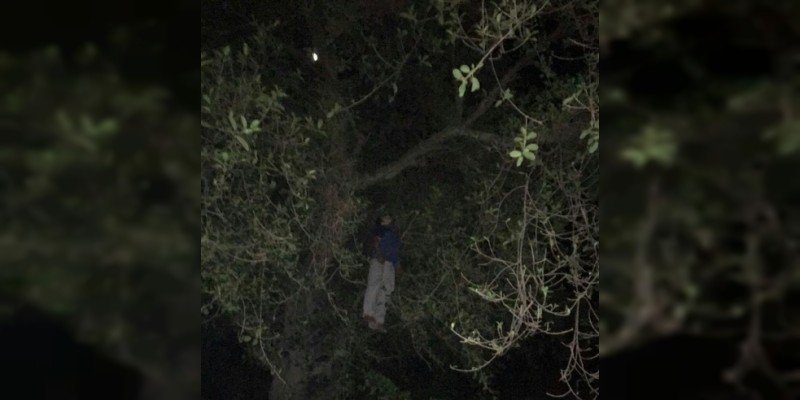 Hallan colgando de un árbol a joven sujeto en Jacona 