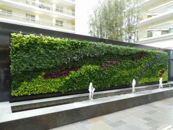 Azoteas y paredes verdes, solución ecológica: IJUM - Foto 2 