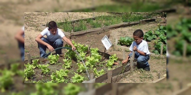 Al agro de Tancítaro, 2.6 mdp del programa de Recursos Municipalizados: Sedrua  