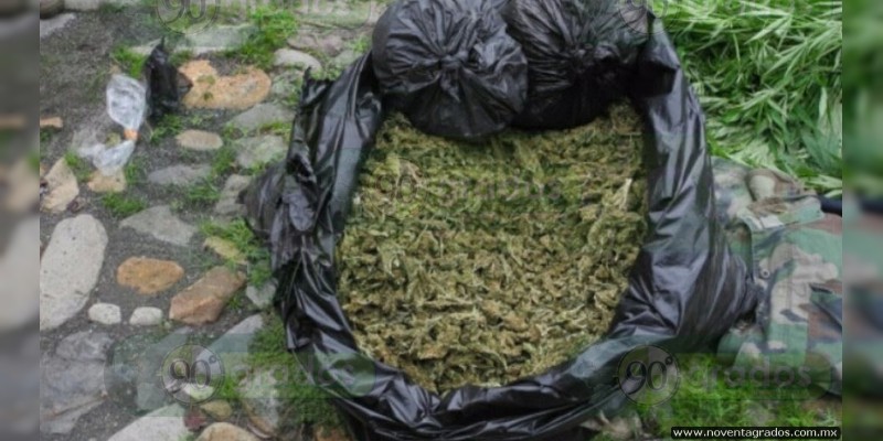 Aseguran más de 20 kilos de marihuana en Múgica, Michoacán - Foto 1 