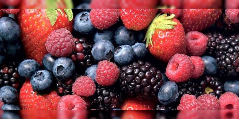Michoacán, líder nacional en producción de berries: Sedrua 