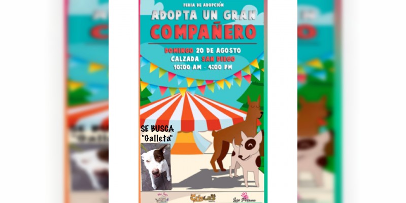 Feria de adopción canina el domingo 20 de agosto,  en la Calzada San Diego 