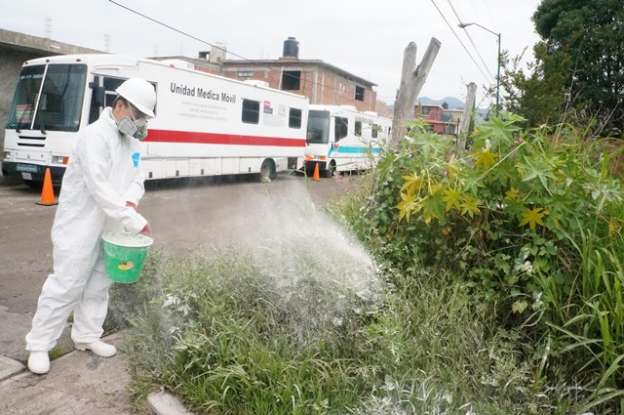 Ayuntamiento de Morelia en vigilancia por chikungunya 