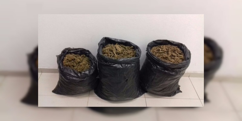 Asegura SSP 17 kilos de marihuana en Zamora  