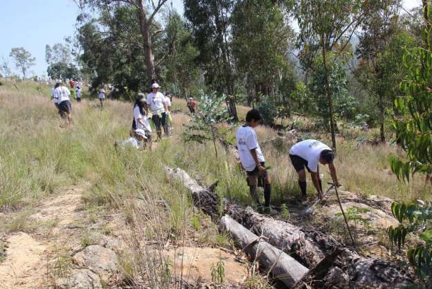 Alta degradación del suelo en Michoacán por uso agrícola - Foto 0 