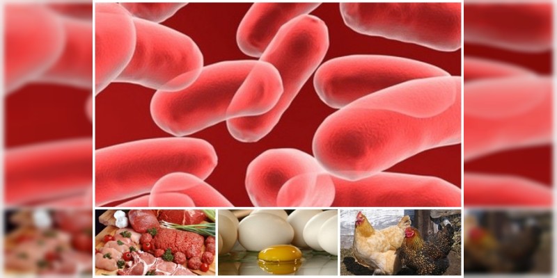 Emite SSM recomendaciones para prevenir salmonelosis e intoxicaciones 