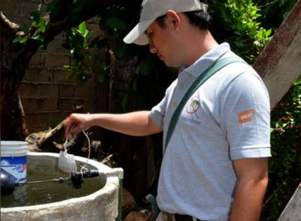 En alerta municipios michoacanos por el chikungunya - Foto 0 