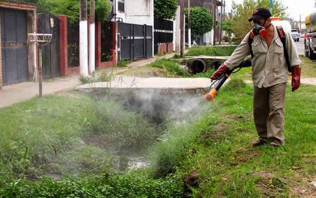 En alerta municipios michoacanos por el chikungunya - Foto 1 