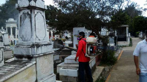 En alerta municipios michoacanos por el chikungunya - Foto 3 
