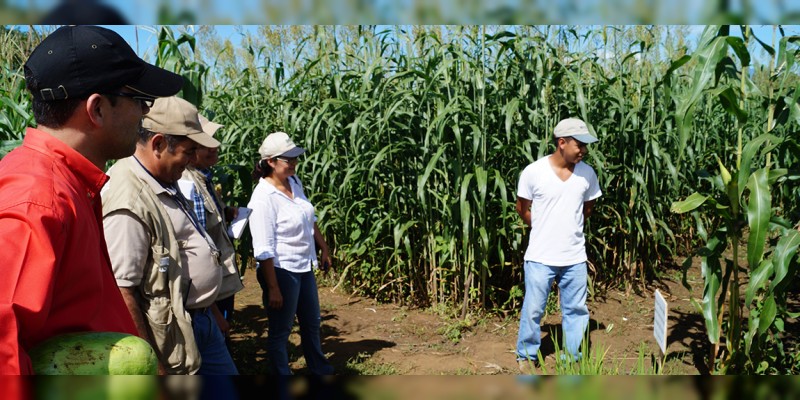 Al agro de Chucándiro, 1.2 mdp del programa de Recursos Municipalizados: Sedrua 