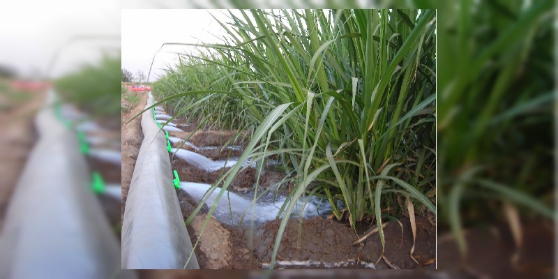 En marcha, 274 proyectos hidroagrícolas para eficientizar riego en el campo 