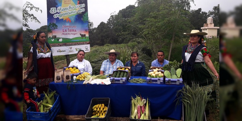 Encuentro nacional de  agricultura biodinámica en Uruapan  - Foto 1 