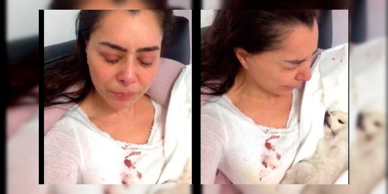 Yadhira Carrillo rompe en llanto después de que atropellaran a su mascota  