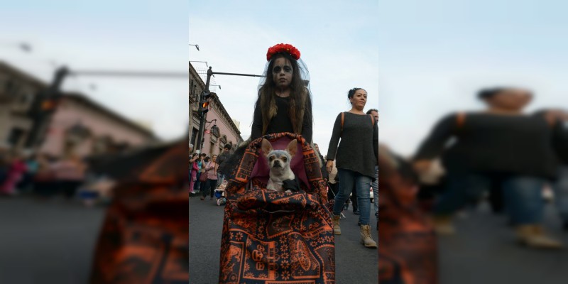 Centro Histórico de Morelia albergó el Desfile de Mascotas 