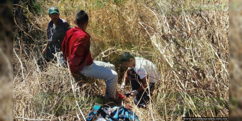 Individuo muere tras ataque de pitbulls en Celaya 
