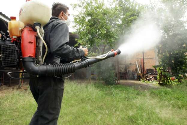 Registra Michoacán 582 casos de chikungunya y 644 de dengue 