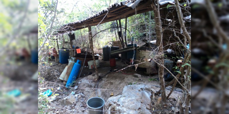 ”Revientan“ dos narcolaboratorios en Arteaga, hay un detenido - Foto 1 