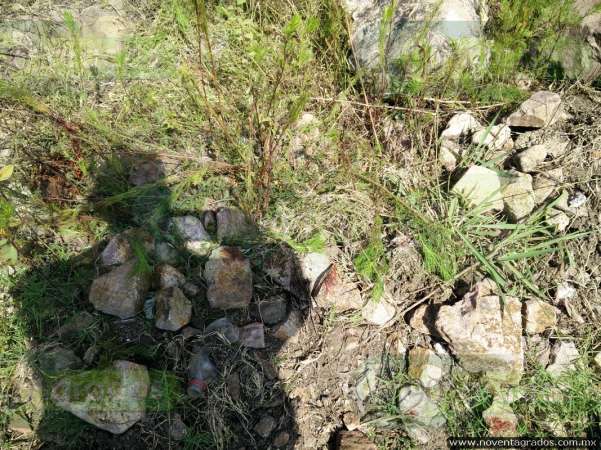 Hallan cadáver de joven lapidado a las afueras de Morelia - Foto 2 